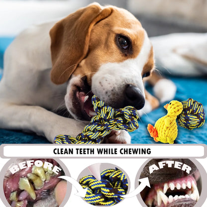 5-Piece Teething Chew Toy Set for Medium Dogs - Colorful, Durable, and Safe Tug of War Toys