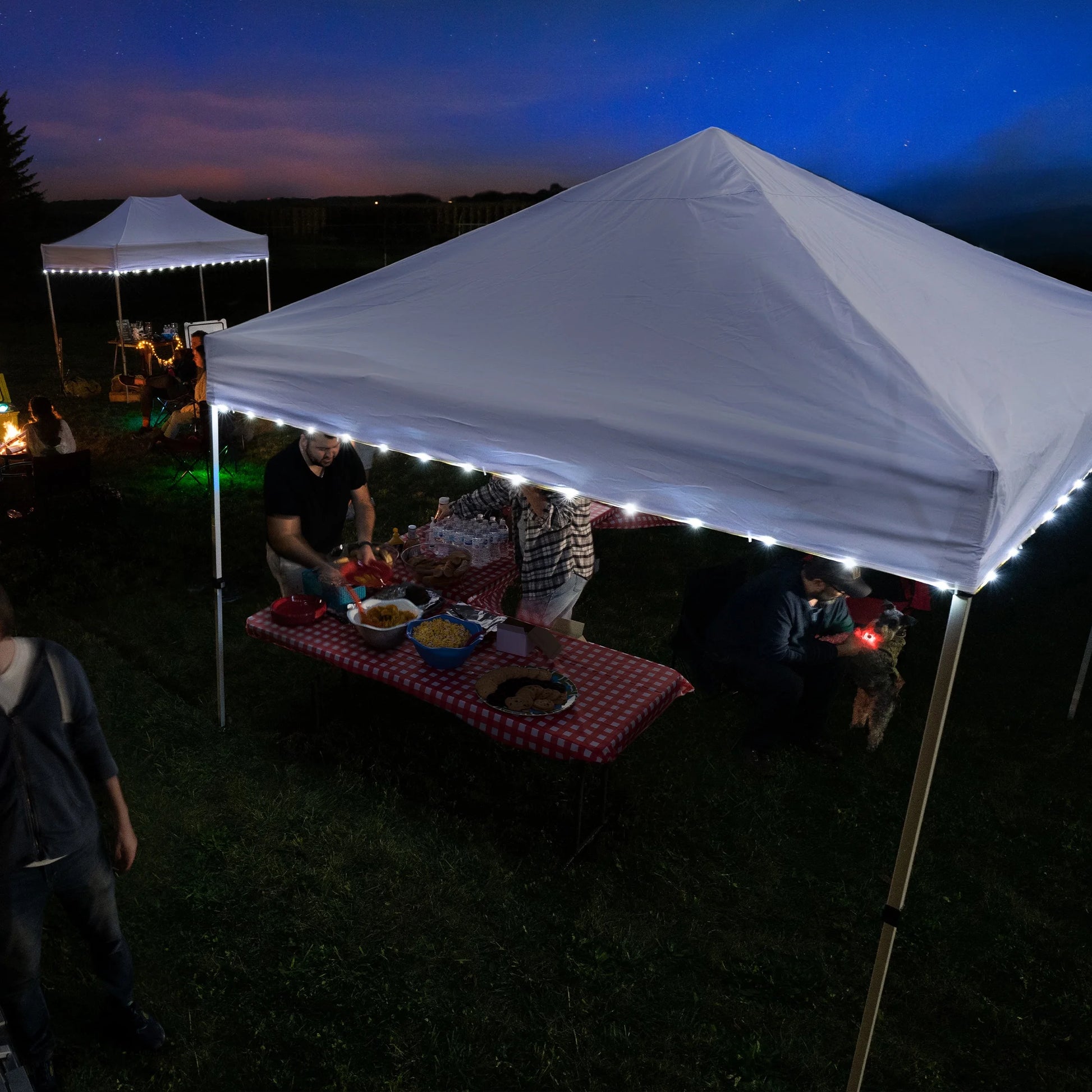 Canopy LED String Lights for Outdoor Canopies, Battery Operated, White