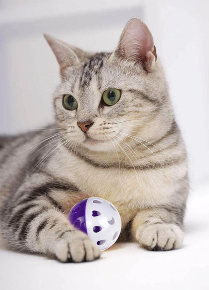 Set of 6 Interactive Cat Bell Balls - Engaging Toy for Kittens and Cats